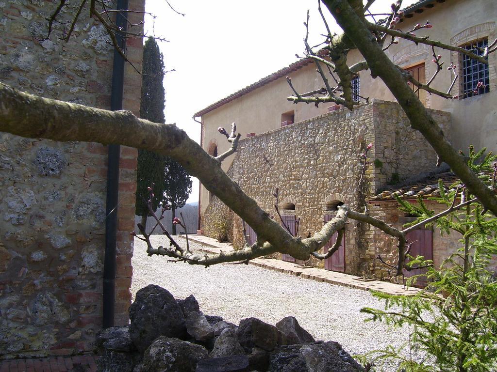 Agriturismo Natura E Salute San Gimignano Exterior photo